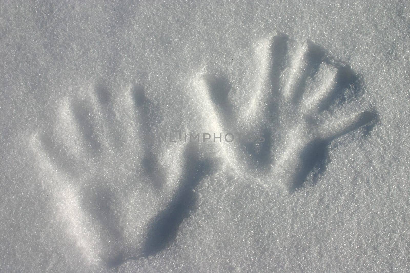 Handprints in the snow