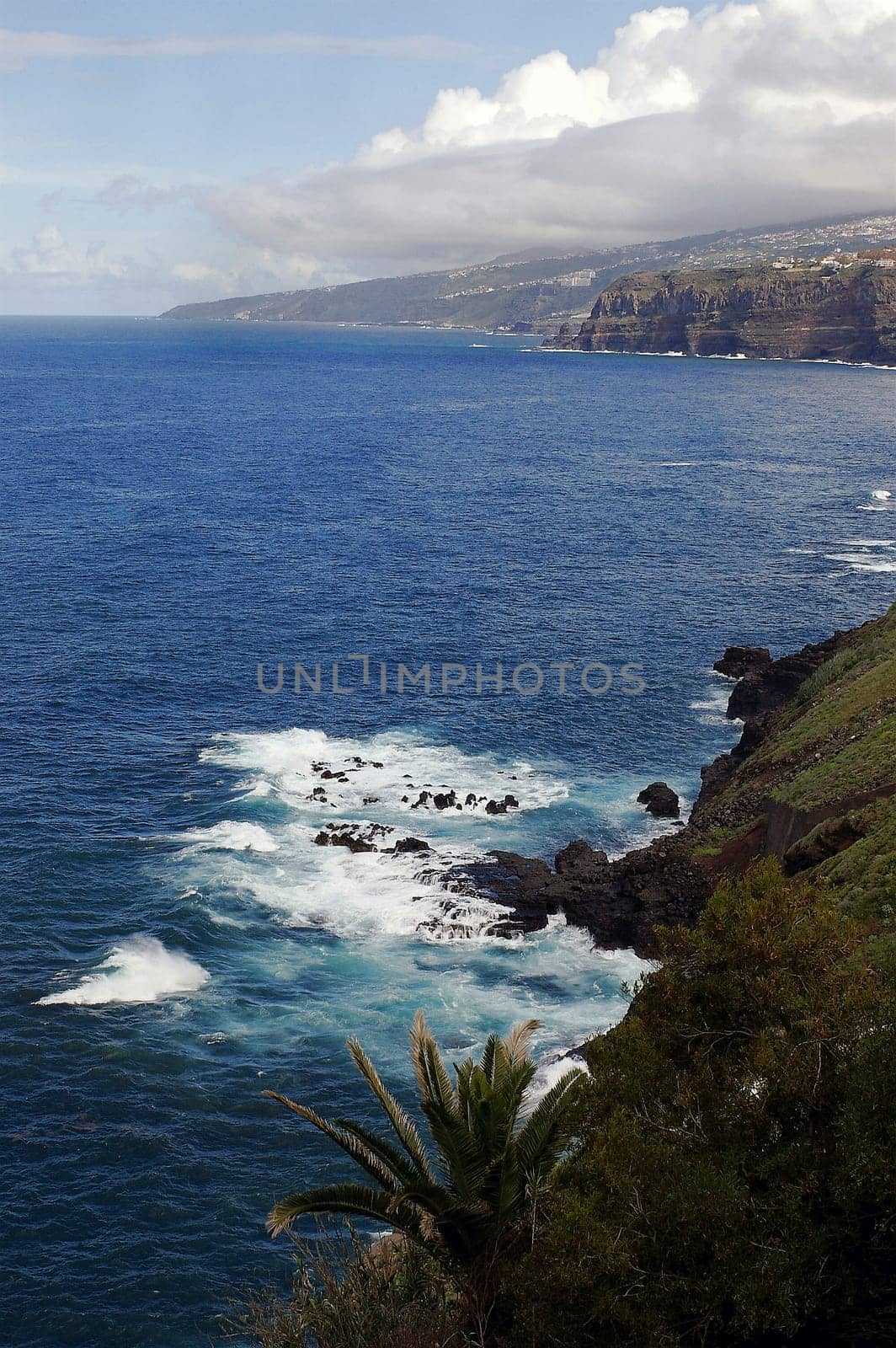 Wild Coast