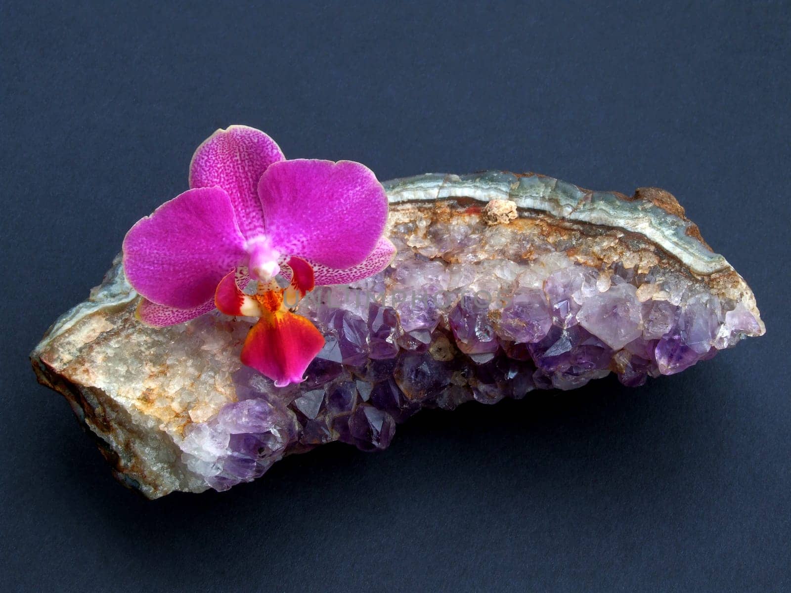 Phalaenopsis on amethyst crystals