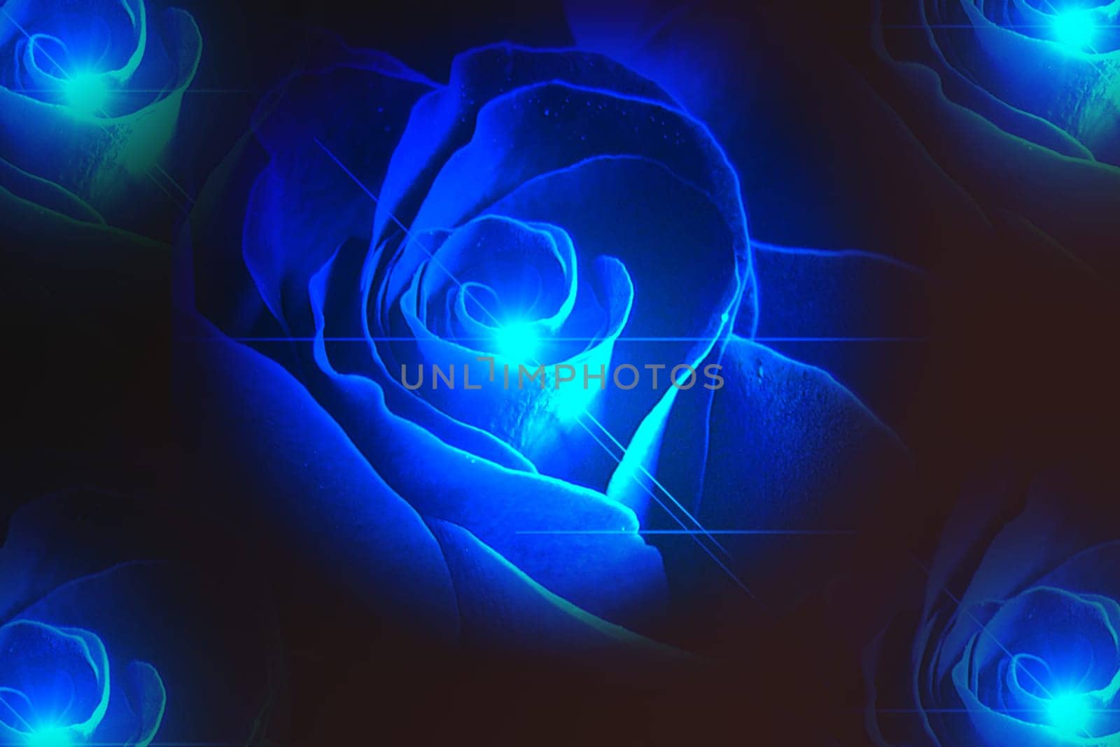 Blue Rose