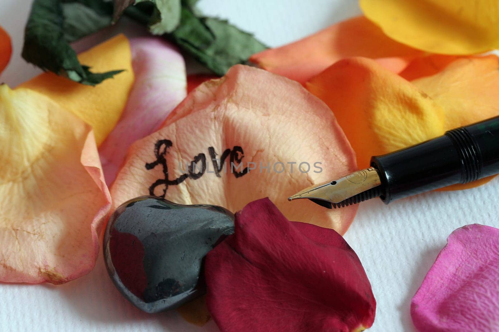 Love greetings on rose petals II