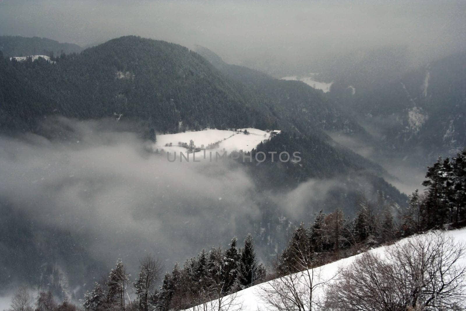 Fog