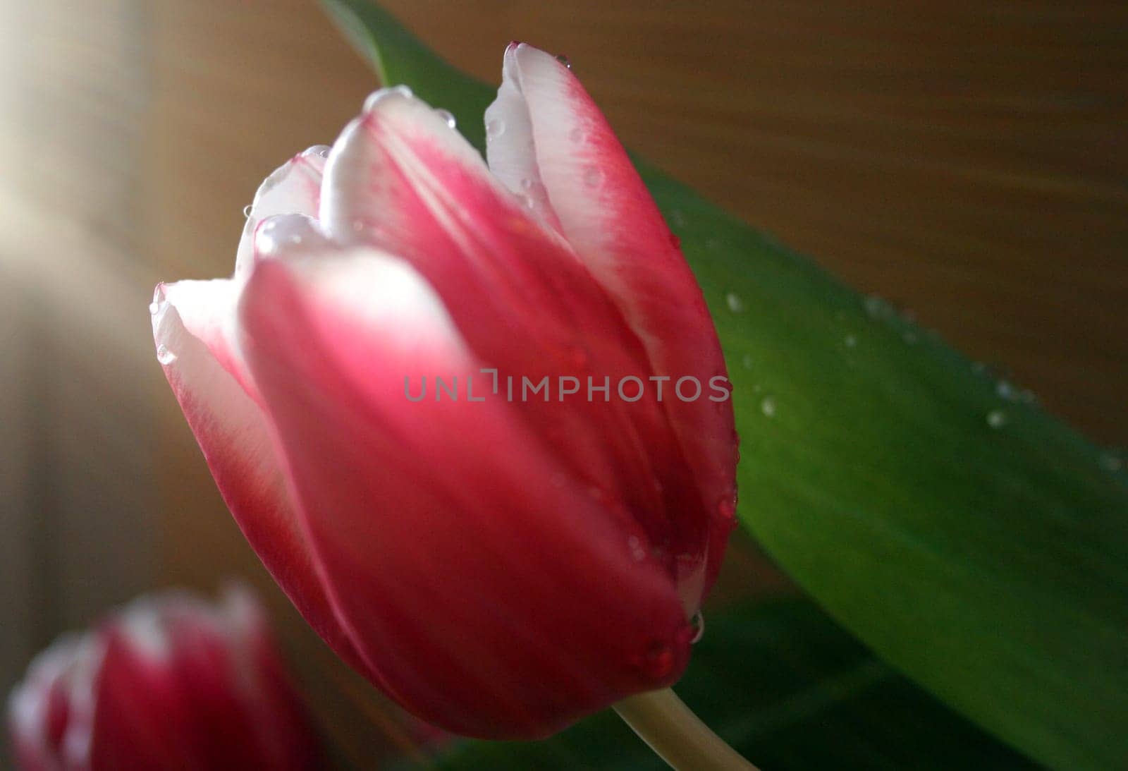 The moment of light