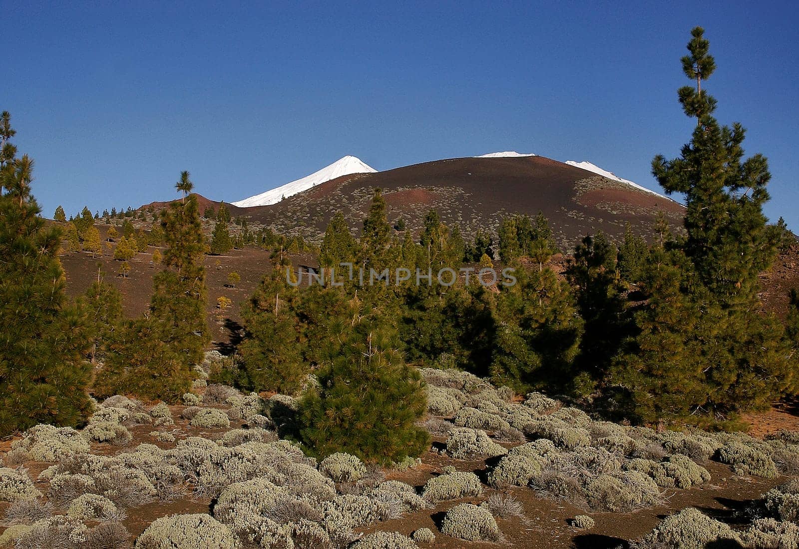 Fire and ice on Mount Teide