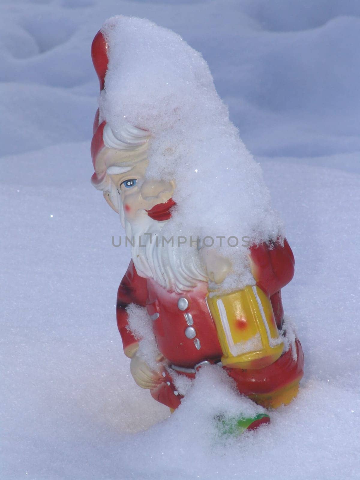 Snow dwarf