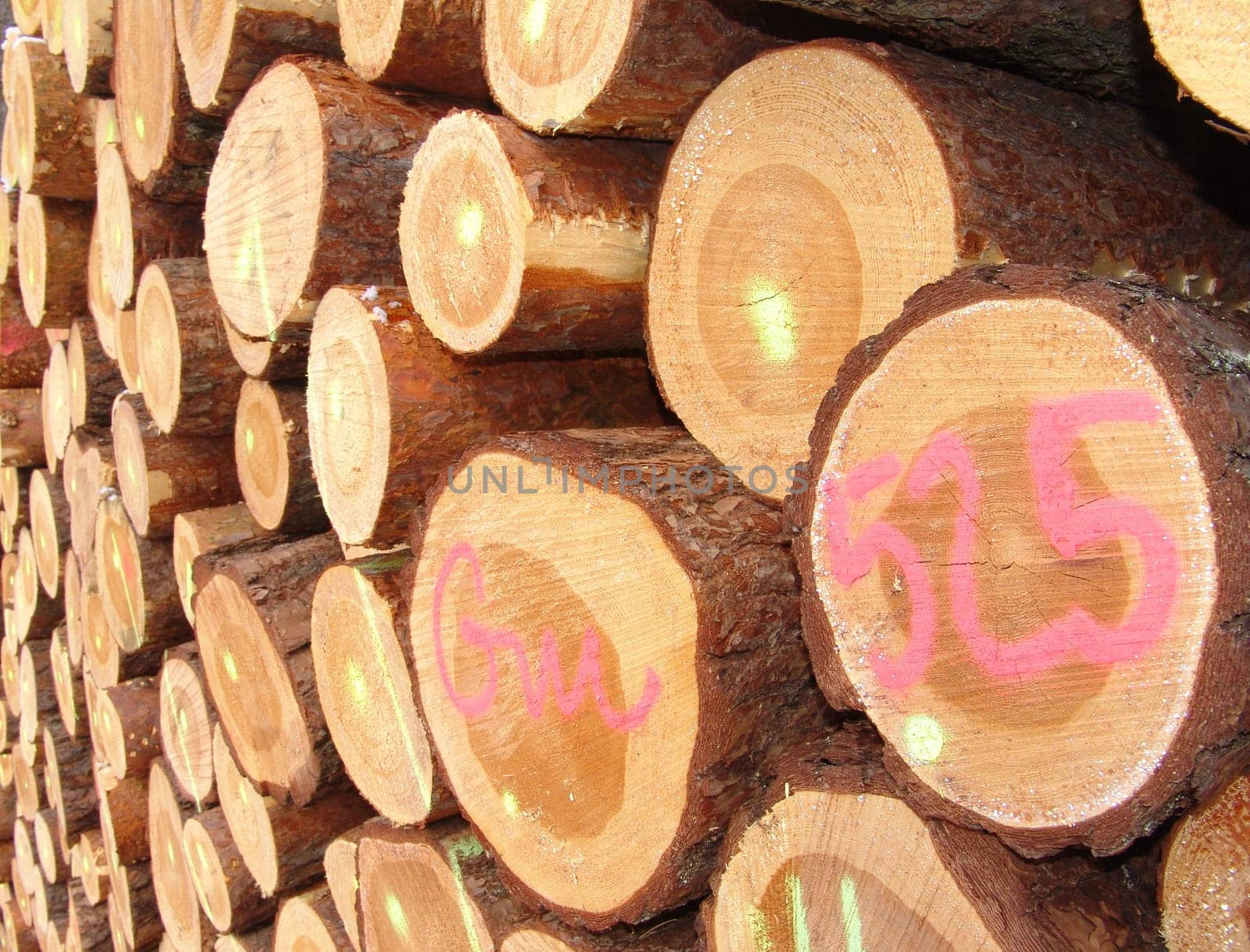 Wood
