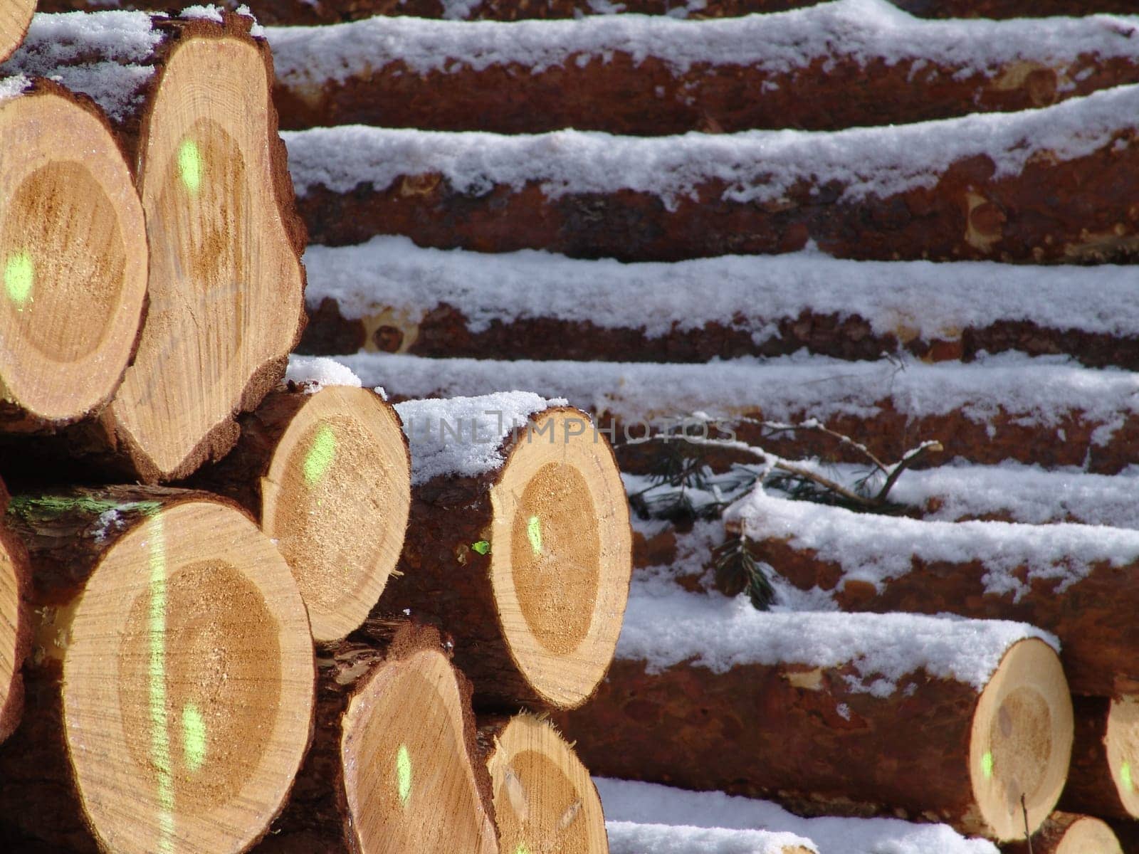 Wood