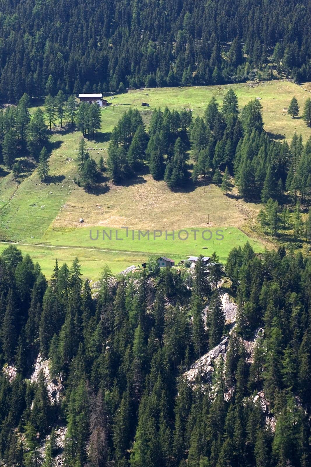 Valley view