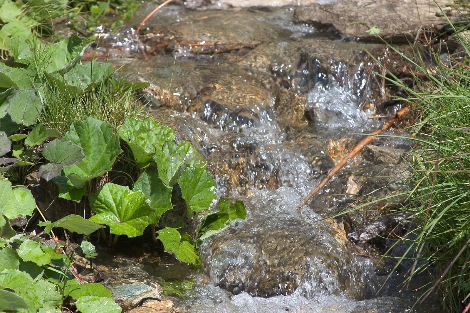Bergbach 06