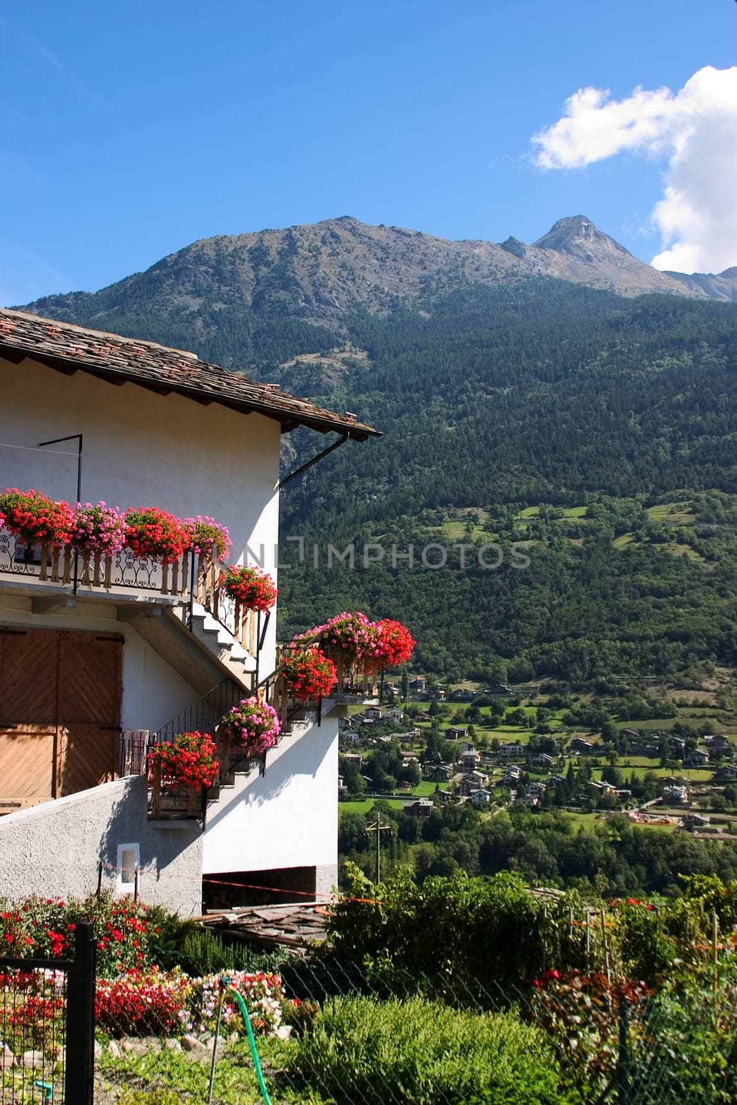 Mountain idyll