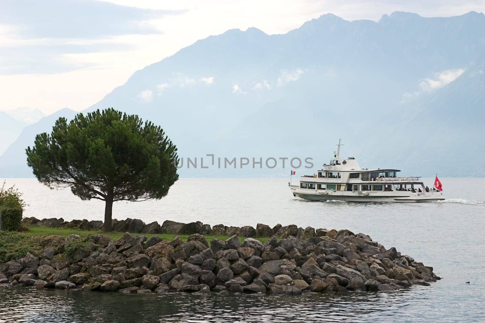 Tree on Lake Geneva 05