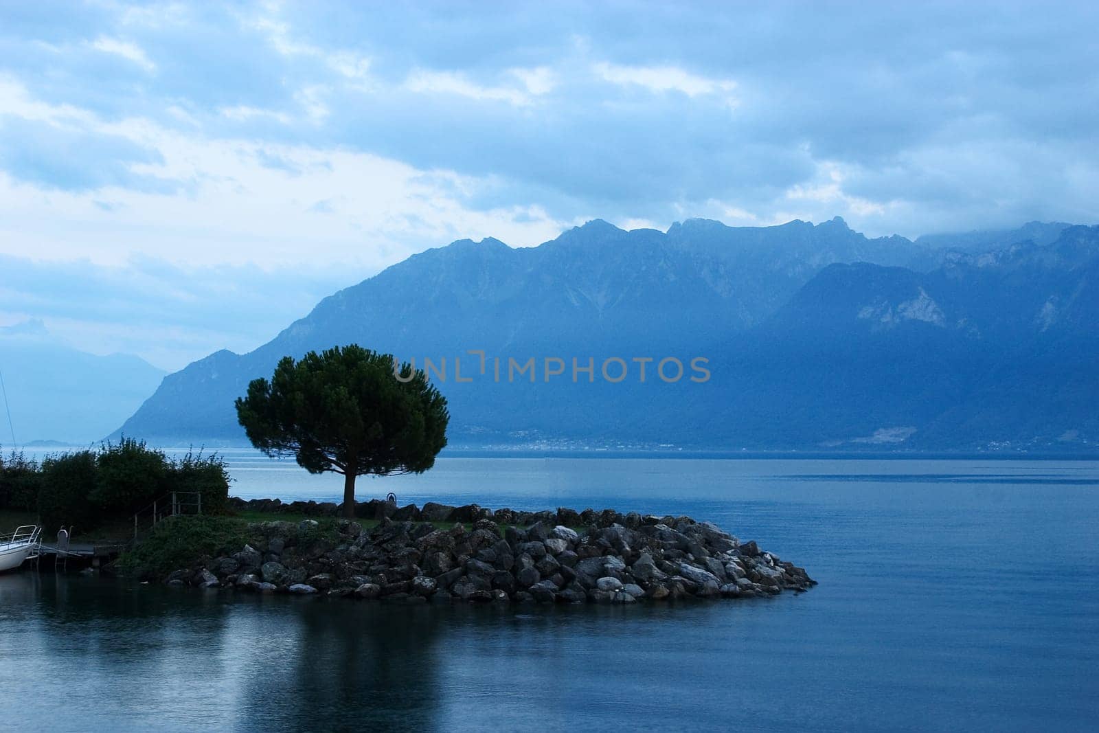 Tree on Lake Geneva 01