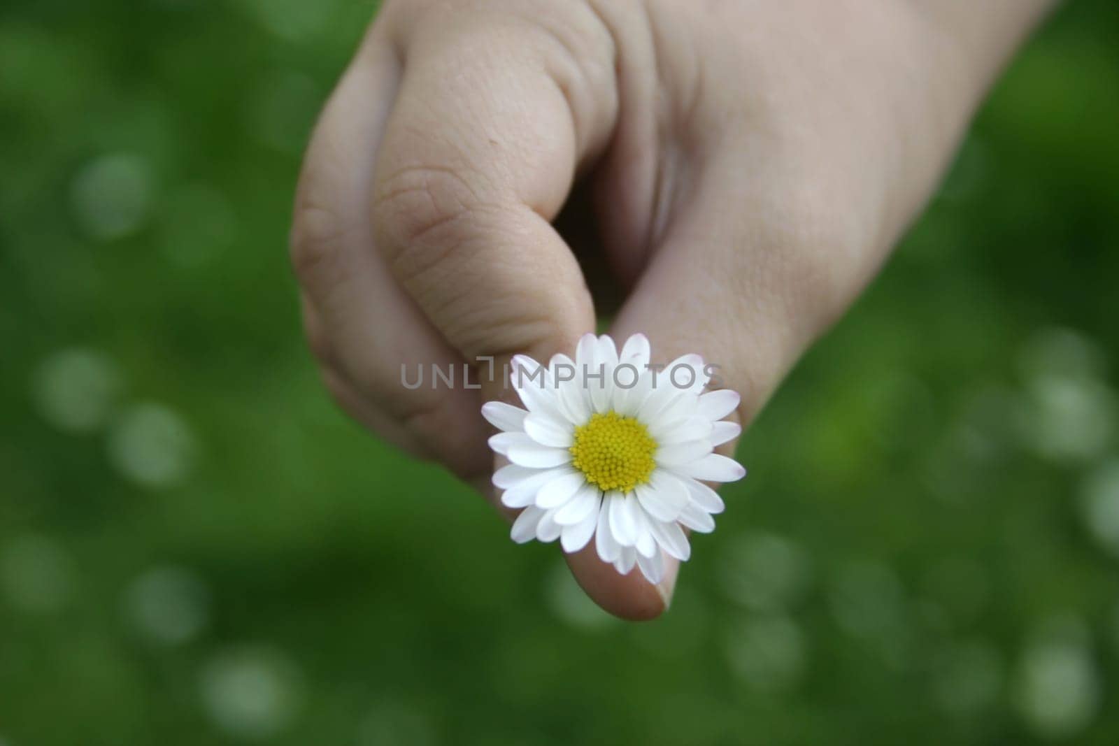 For you,mom