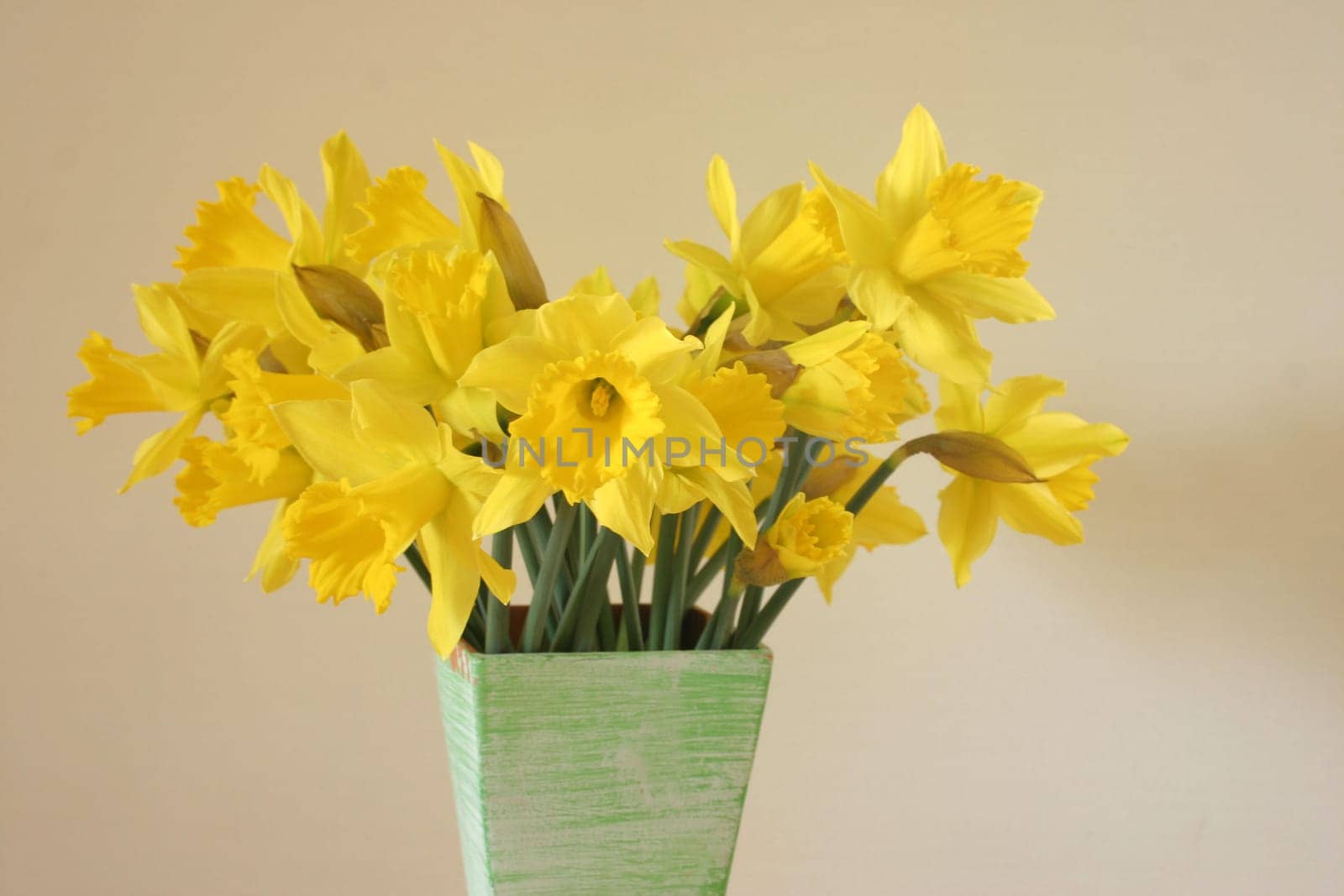 Bouquet of daffodils