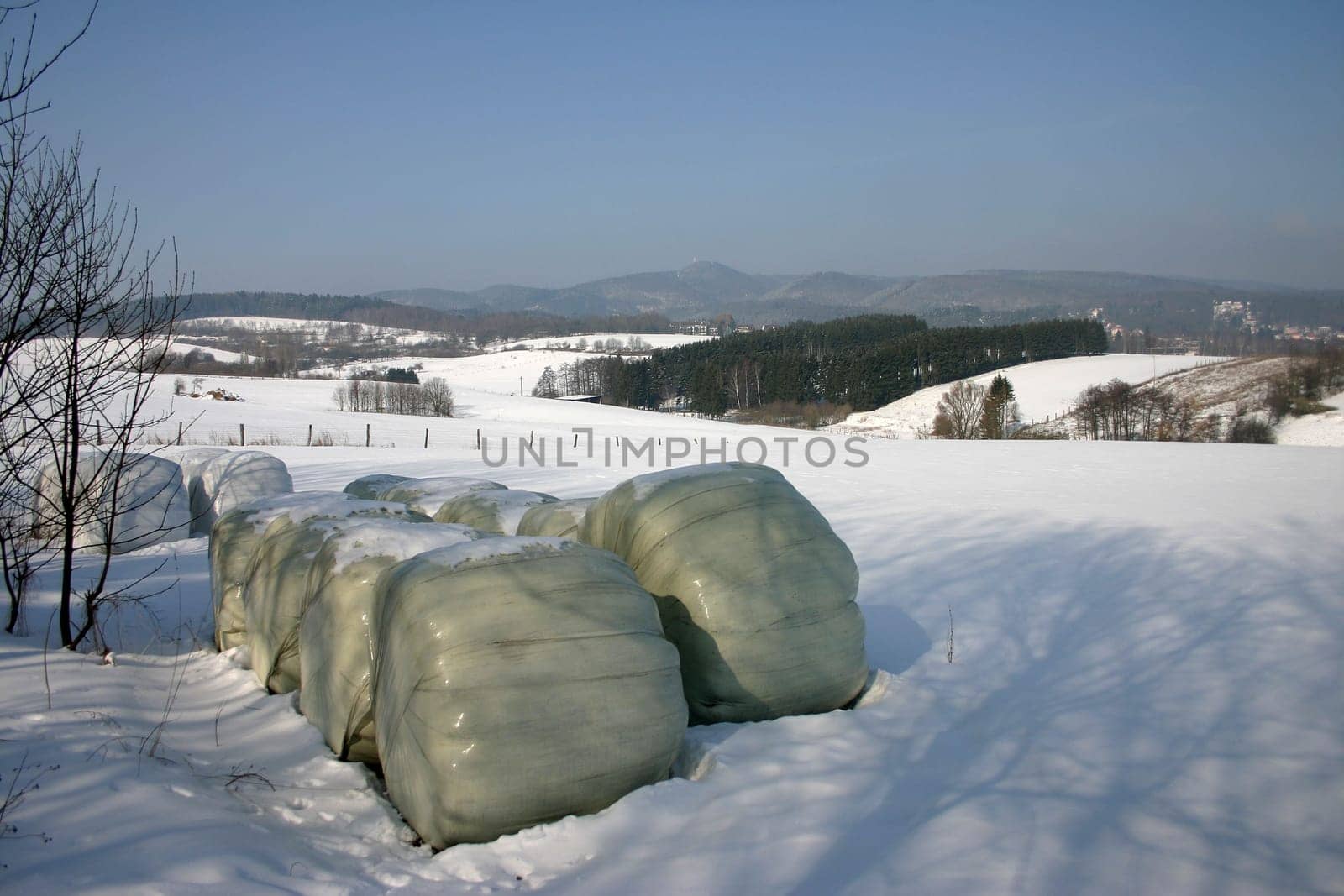 Bale of hay