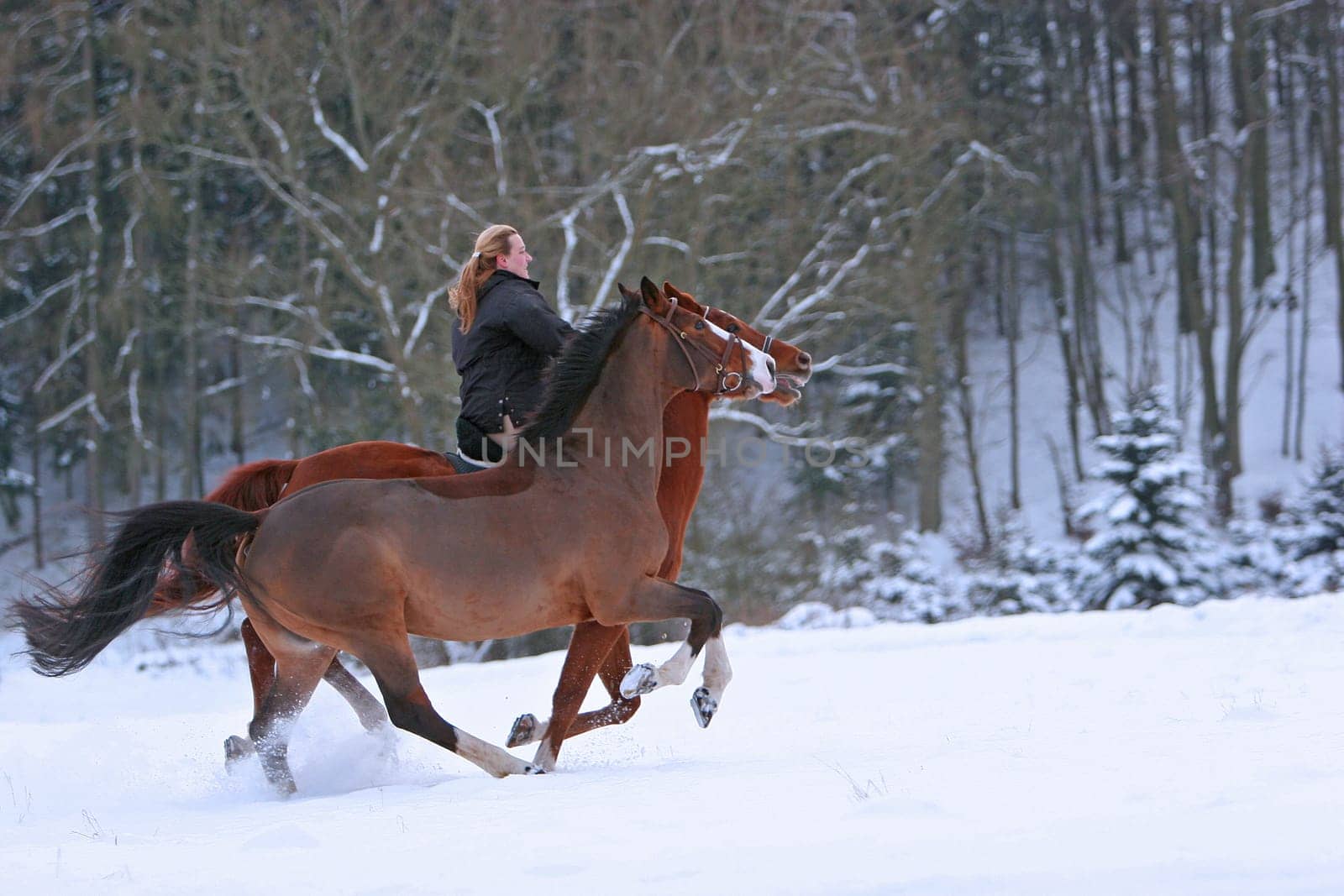 Apparently spring is cancelled. it's winter again with us but you can also have fun there -)