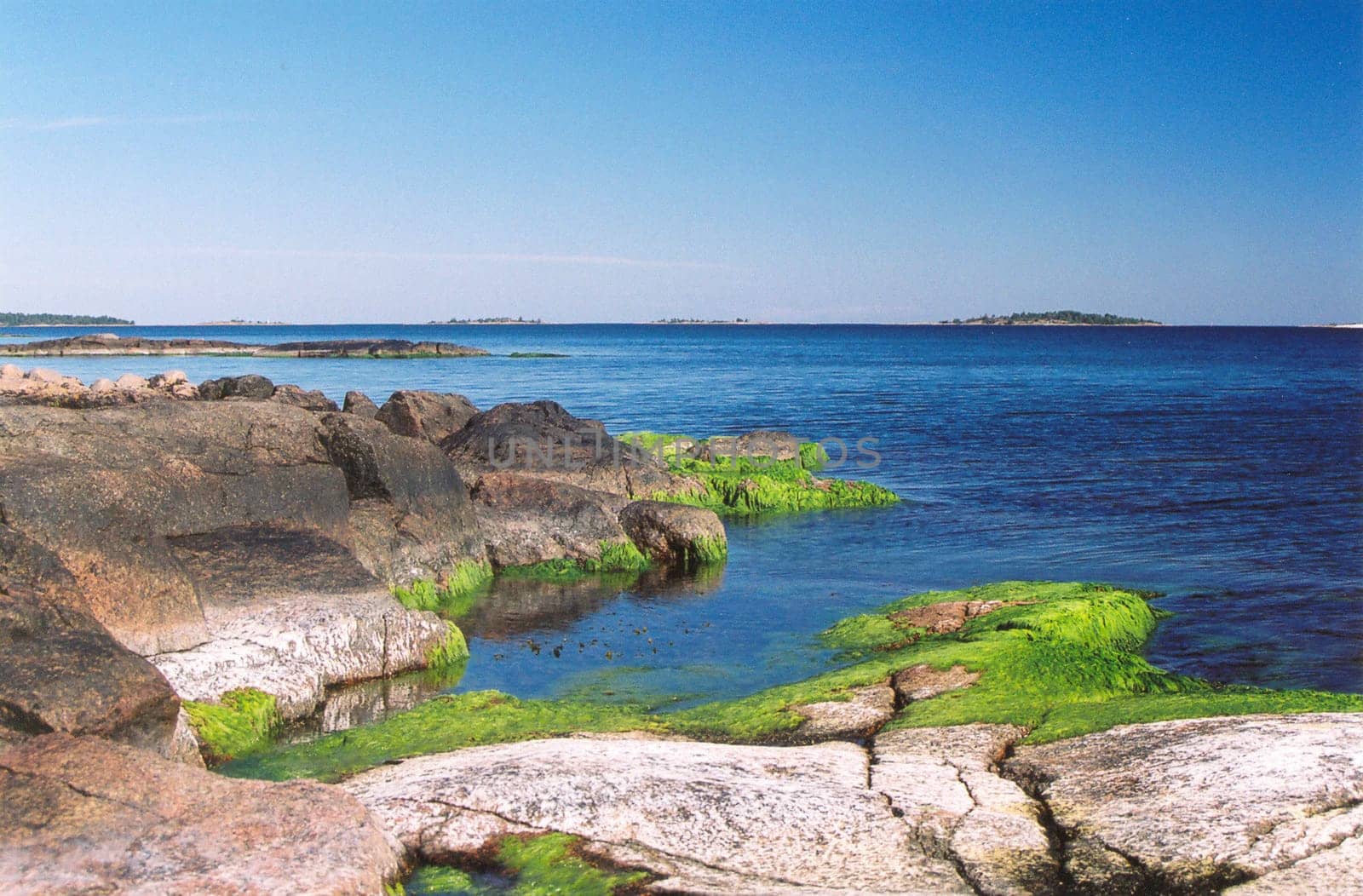 Yes,you have to write about this picture that it was taken at the end of September. The water was already so cold that our feet almost froze off. But it is only through this clear,cold air that the archipelago in the background can be easily seen. How much life is there?