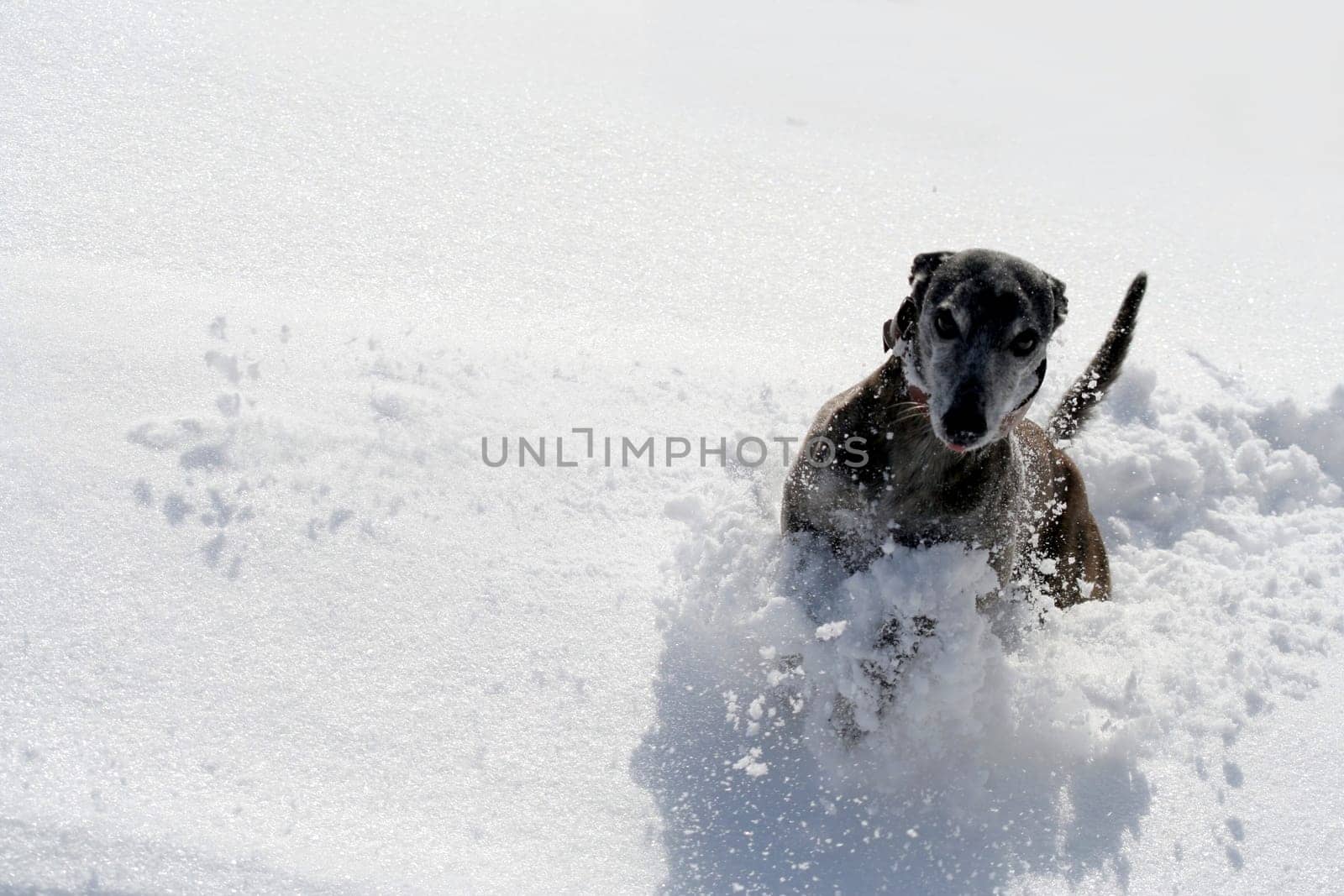 Attention snowdrift