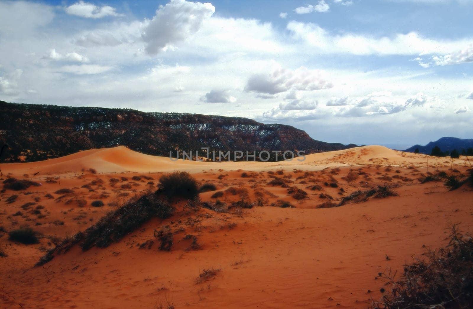 Coral Pink Sand Dunes