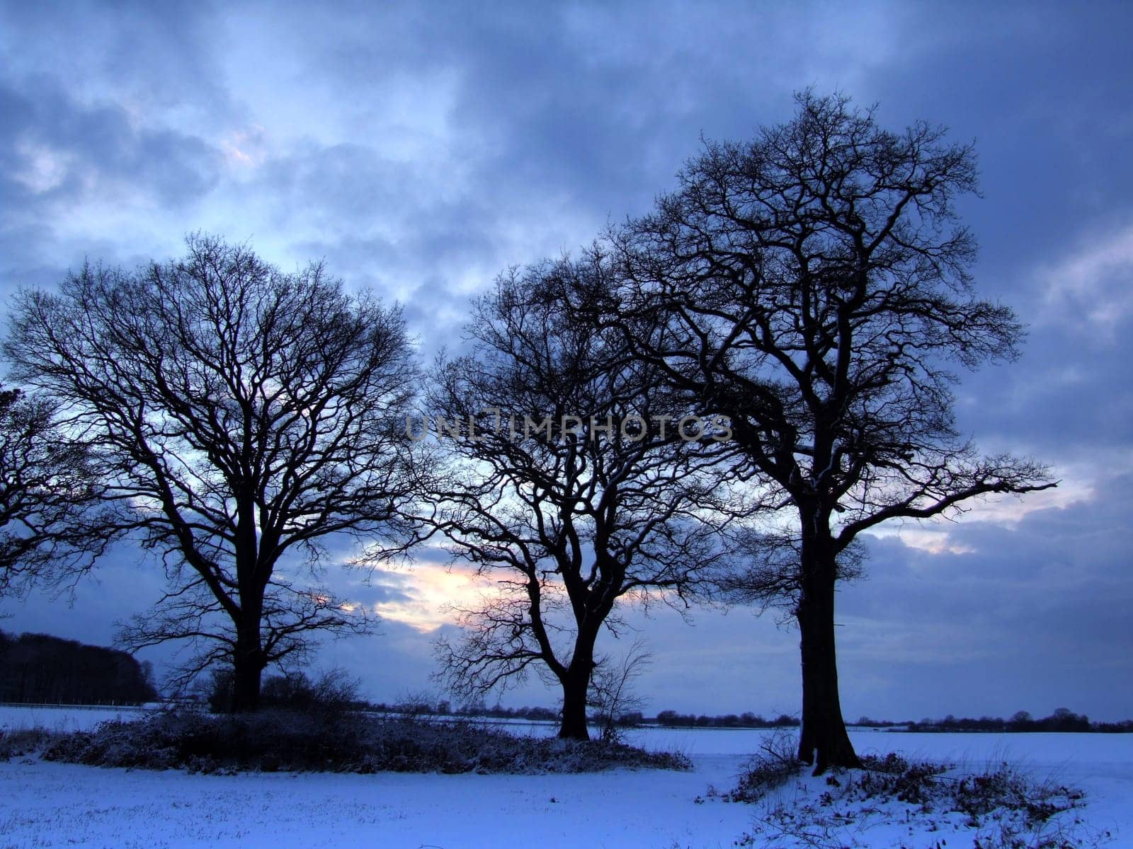 Winter evening