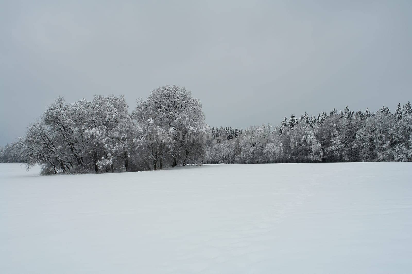 ... finally real winter