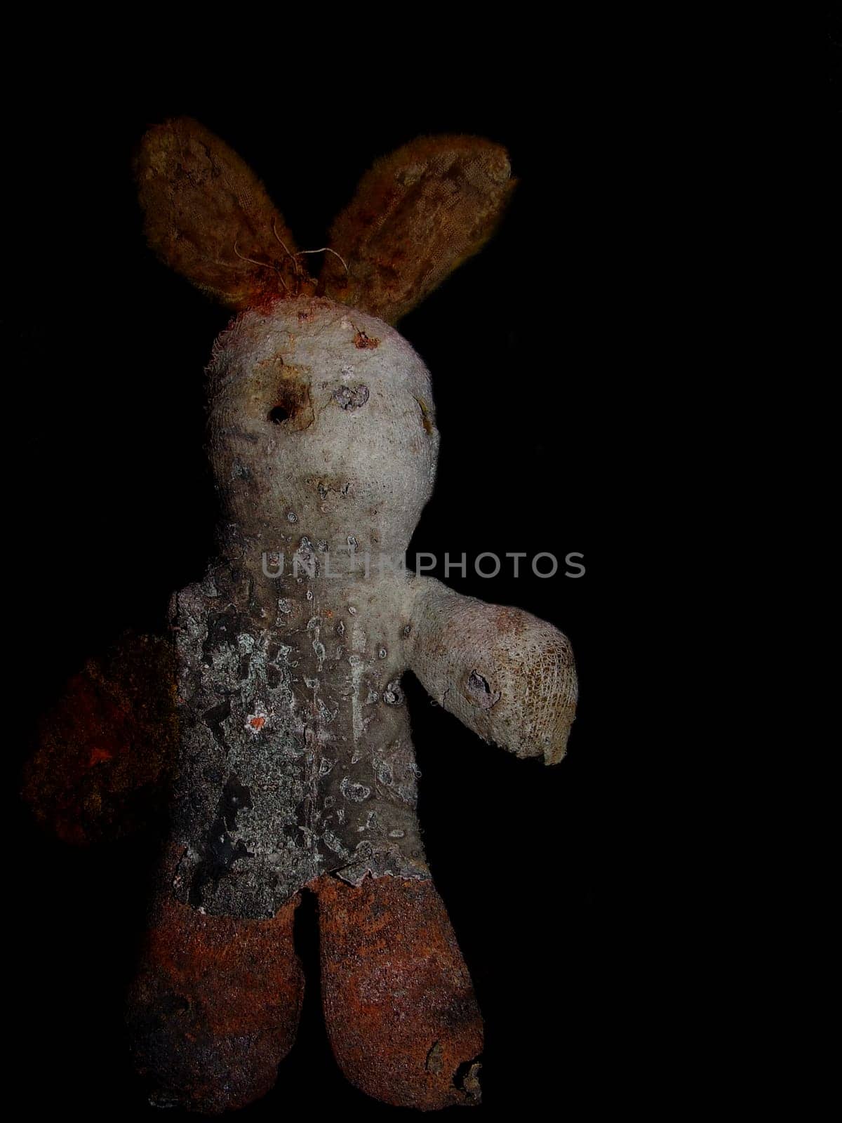 Rabbit Mummy
