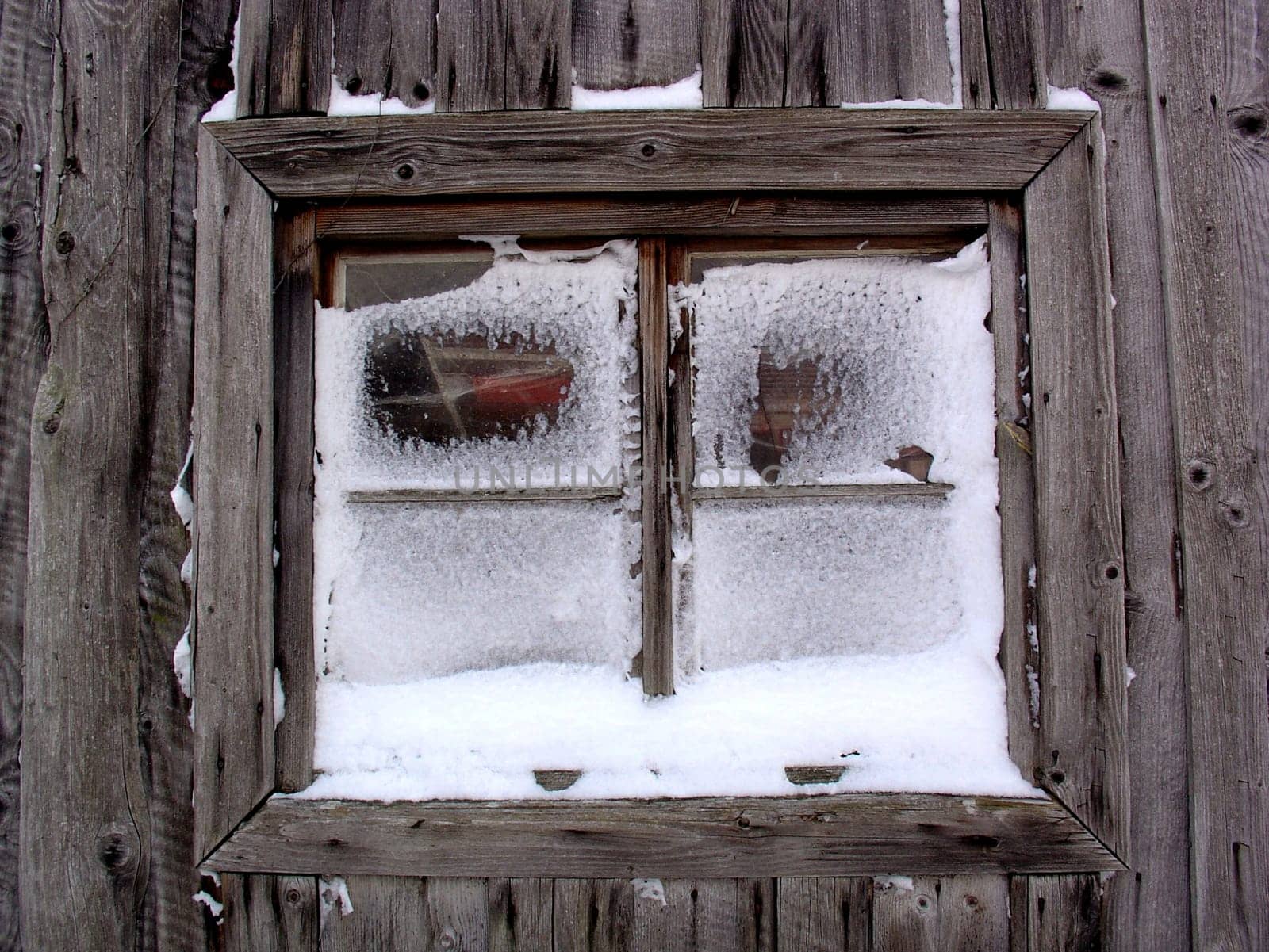 Snow-blind