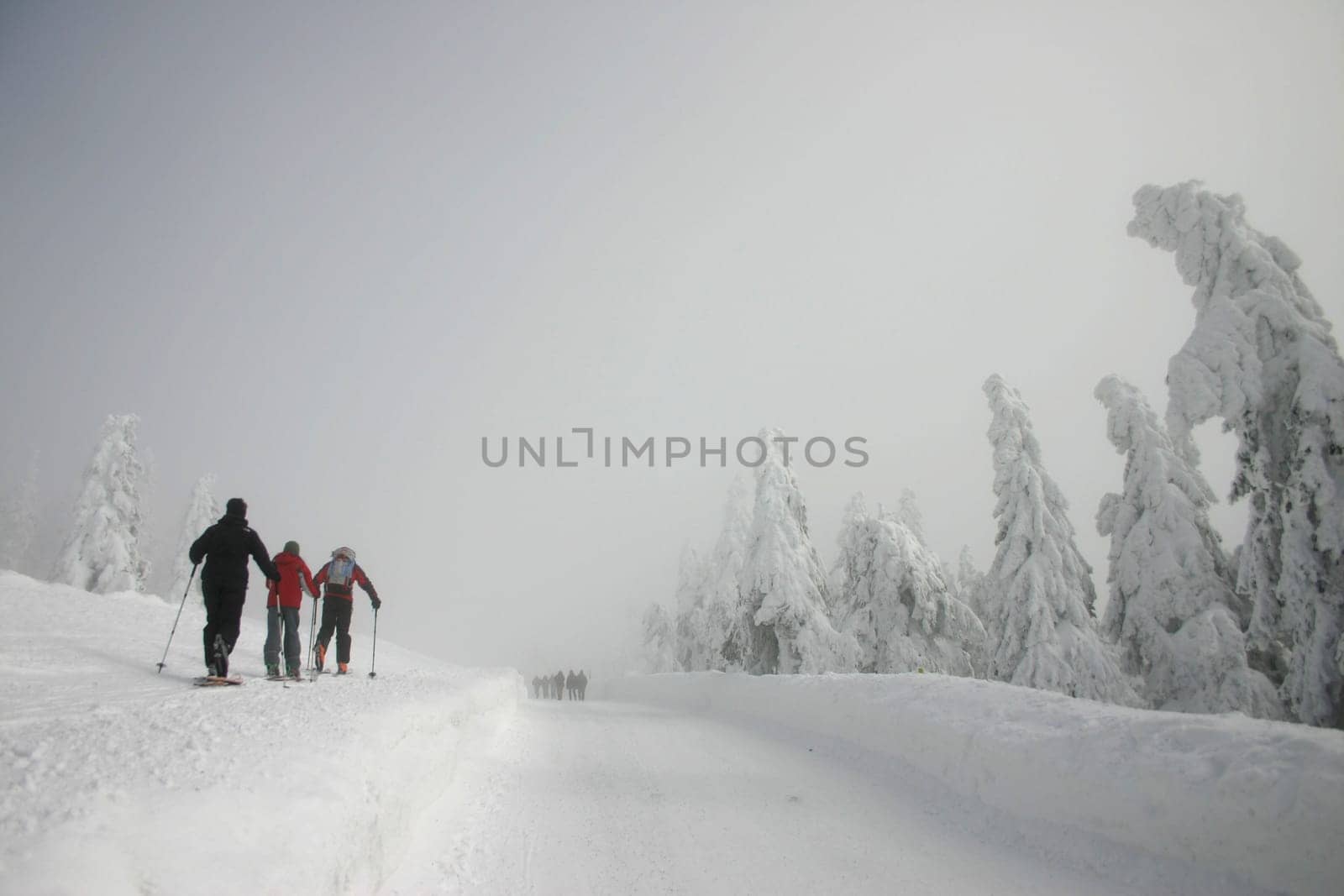 Cross-country skiing