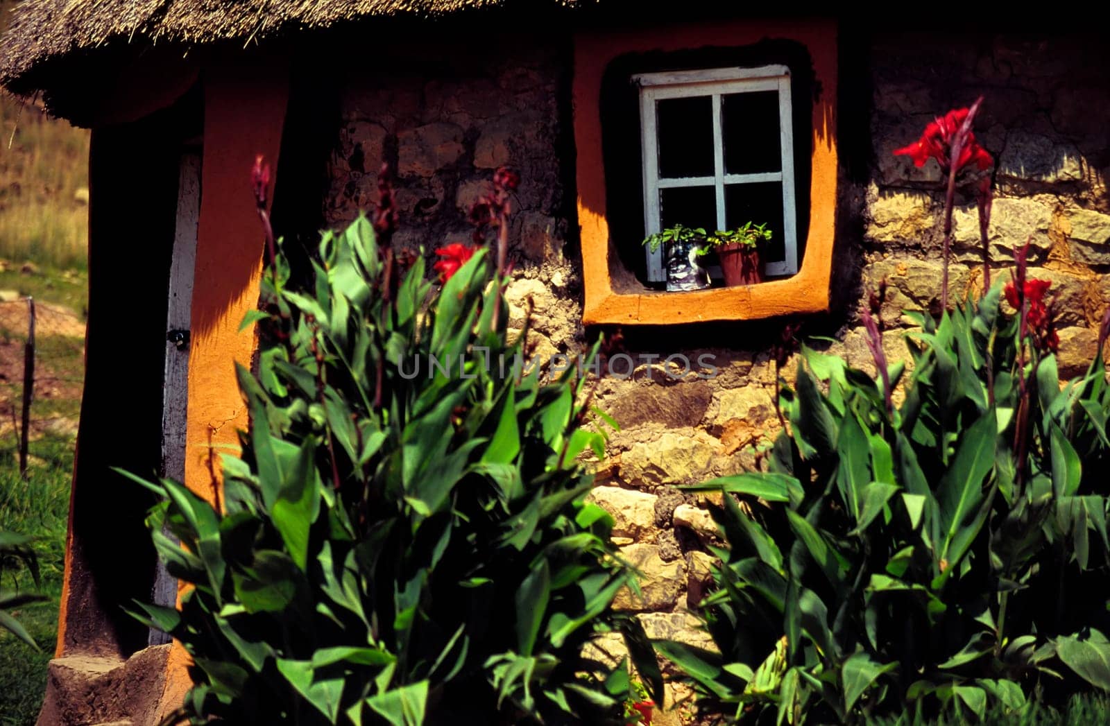 The Basutos in Lesotho traditionally live in round huts,the so-called rondaveels. These are usually made of clay with a thatched or brushwood roof. Depending on the wealth,a family may well inhabit several huts. Often the kitchen or the cooking
