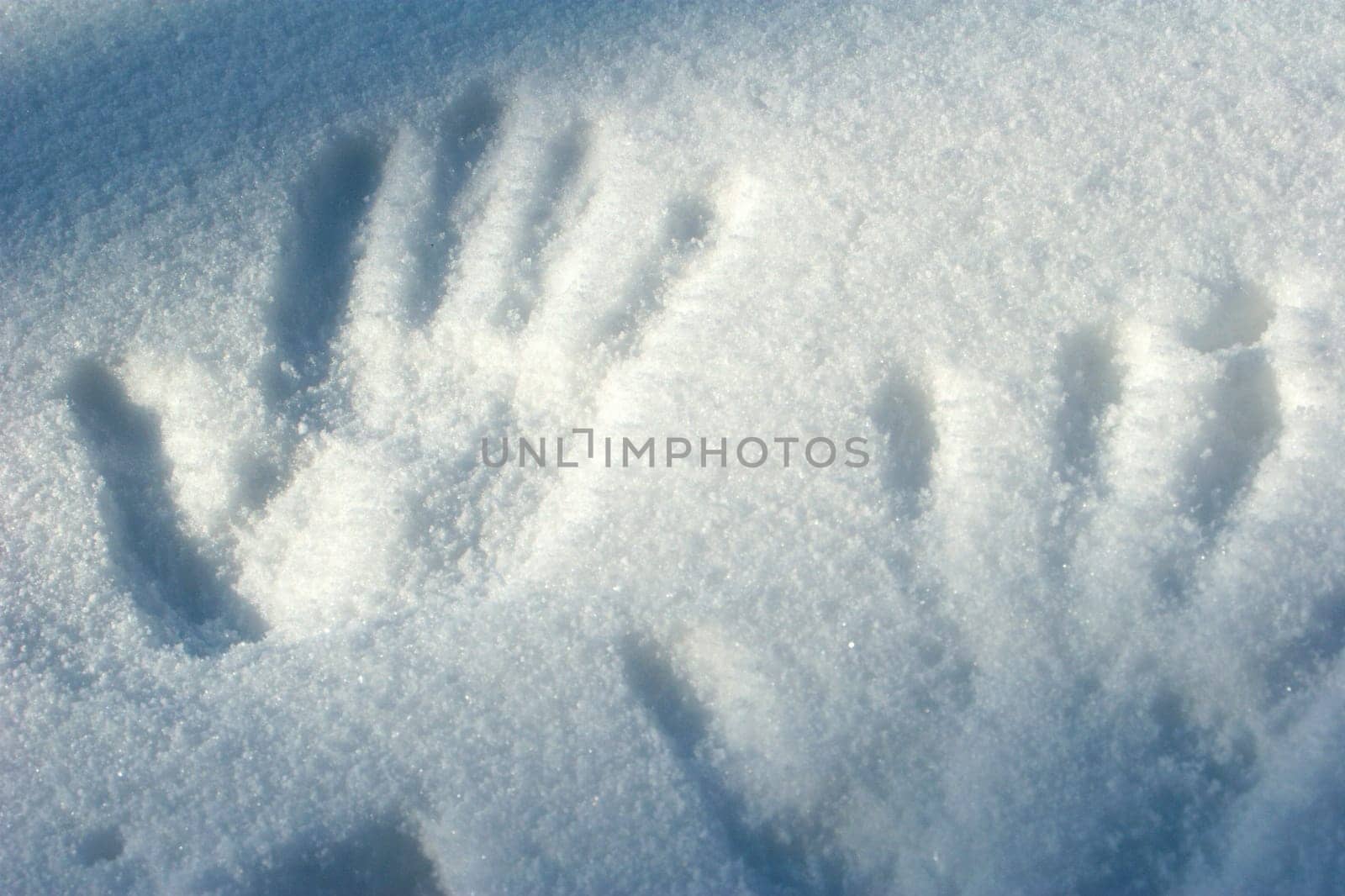 Tracks in the snow