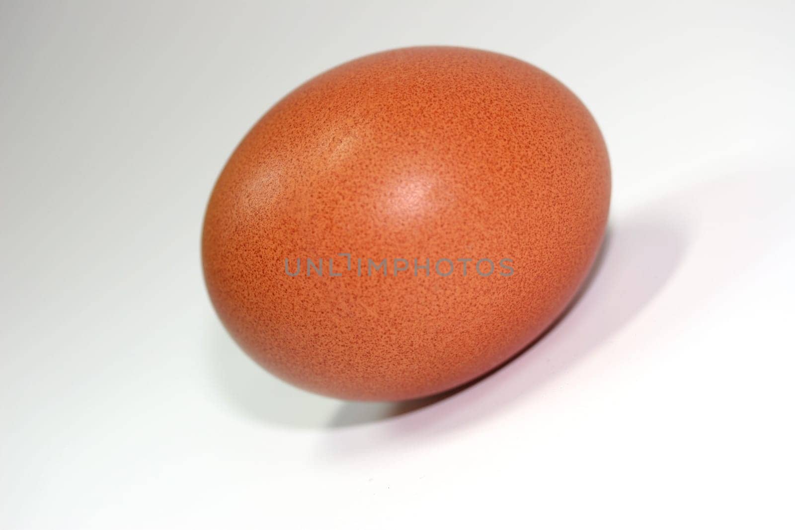 Egg
