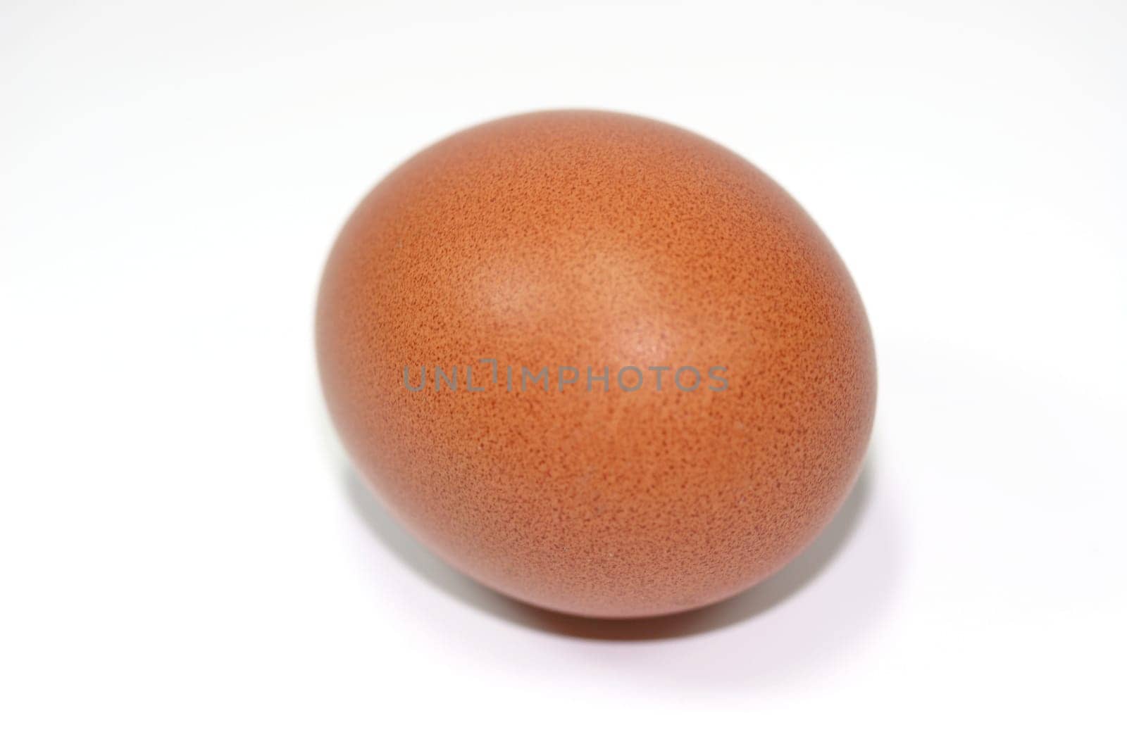 Egg