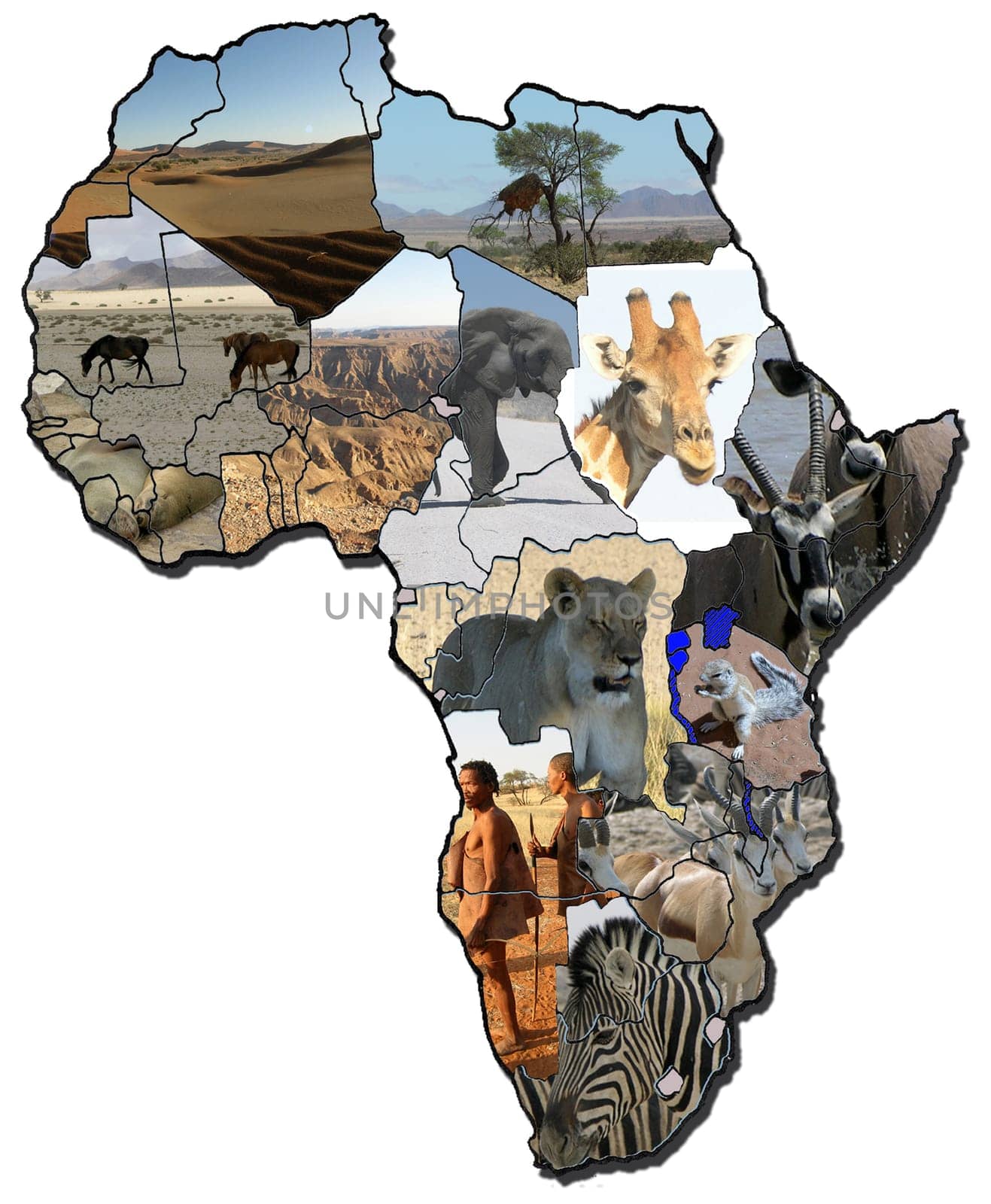 Mamma Africa