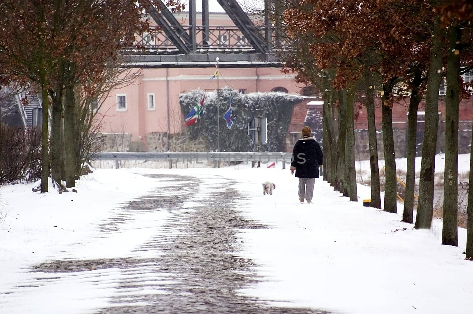 Winter walk...