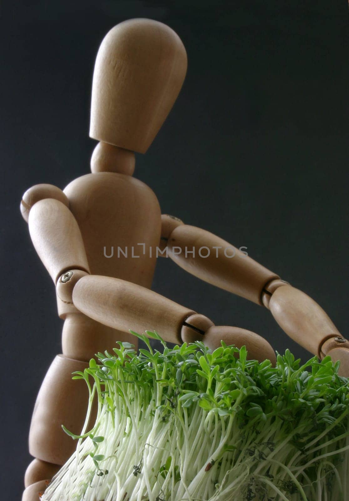 My gardener