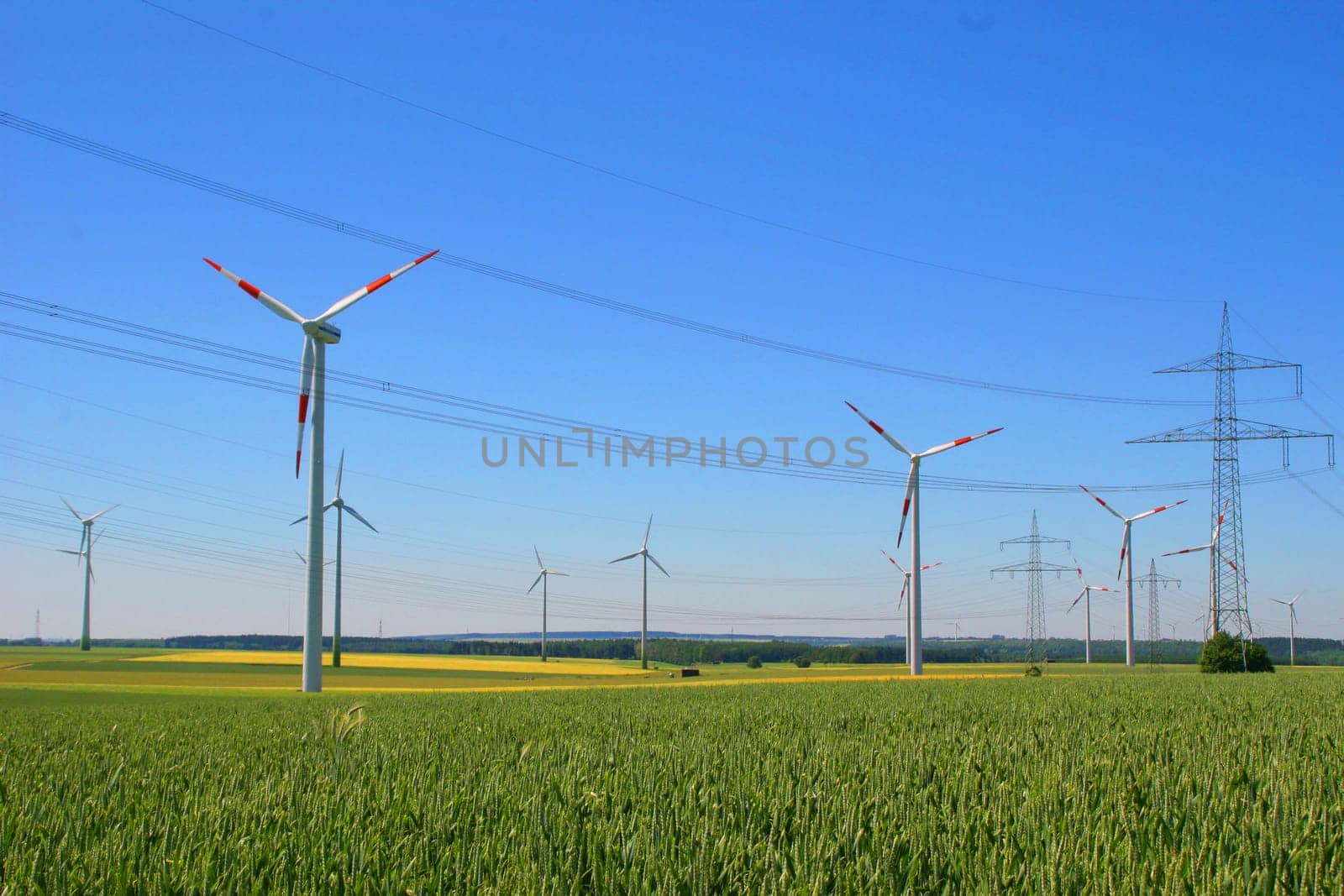 This energy field fascinates me again and again.
