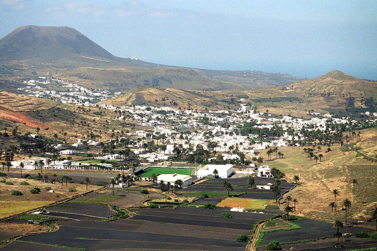 Valley of 1000 Palm Trees