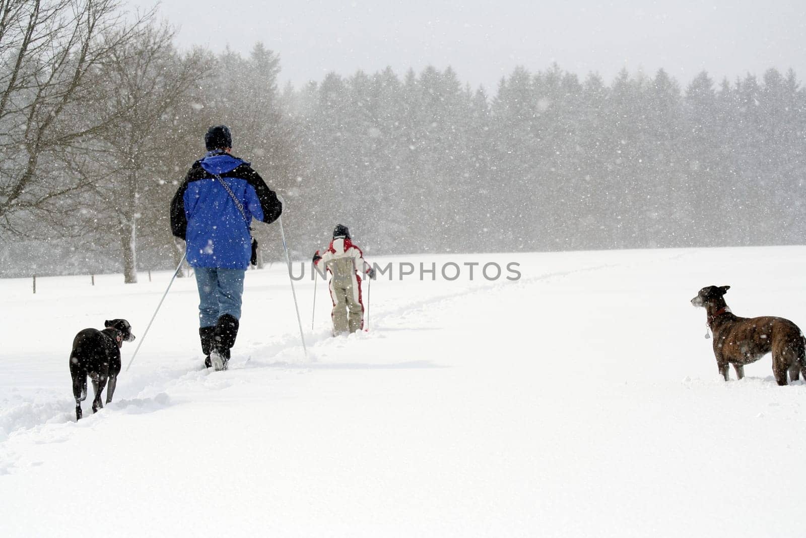 Family excursion