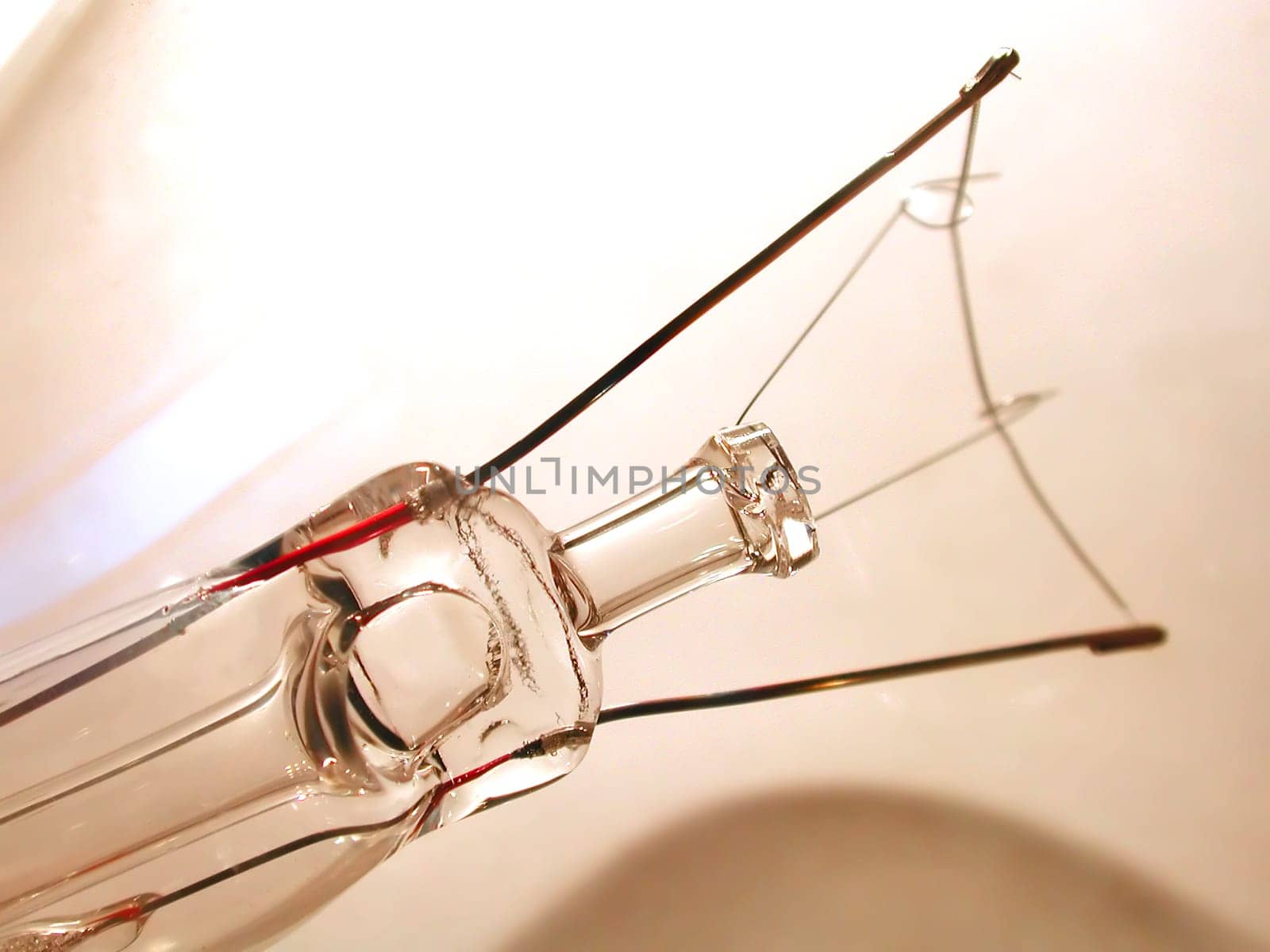 Bulb 05