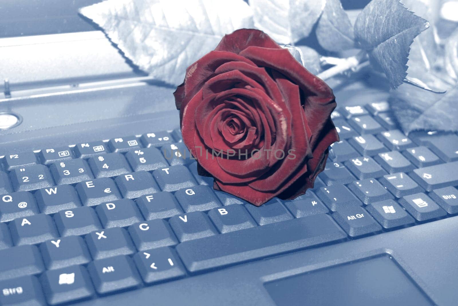Be my Valentine