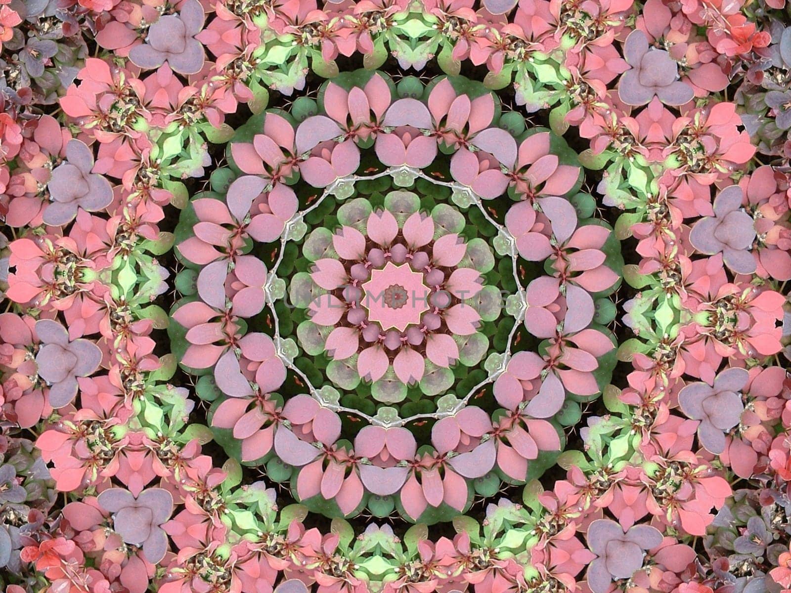 Hedge Kaleidoscope