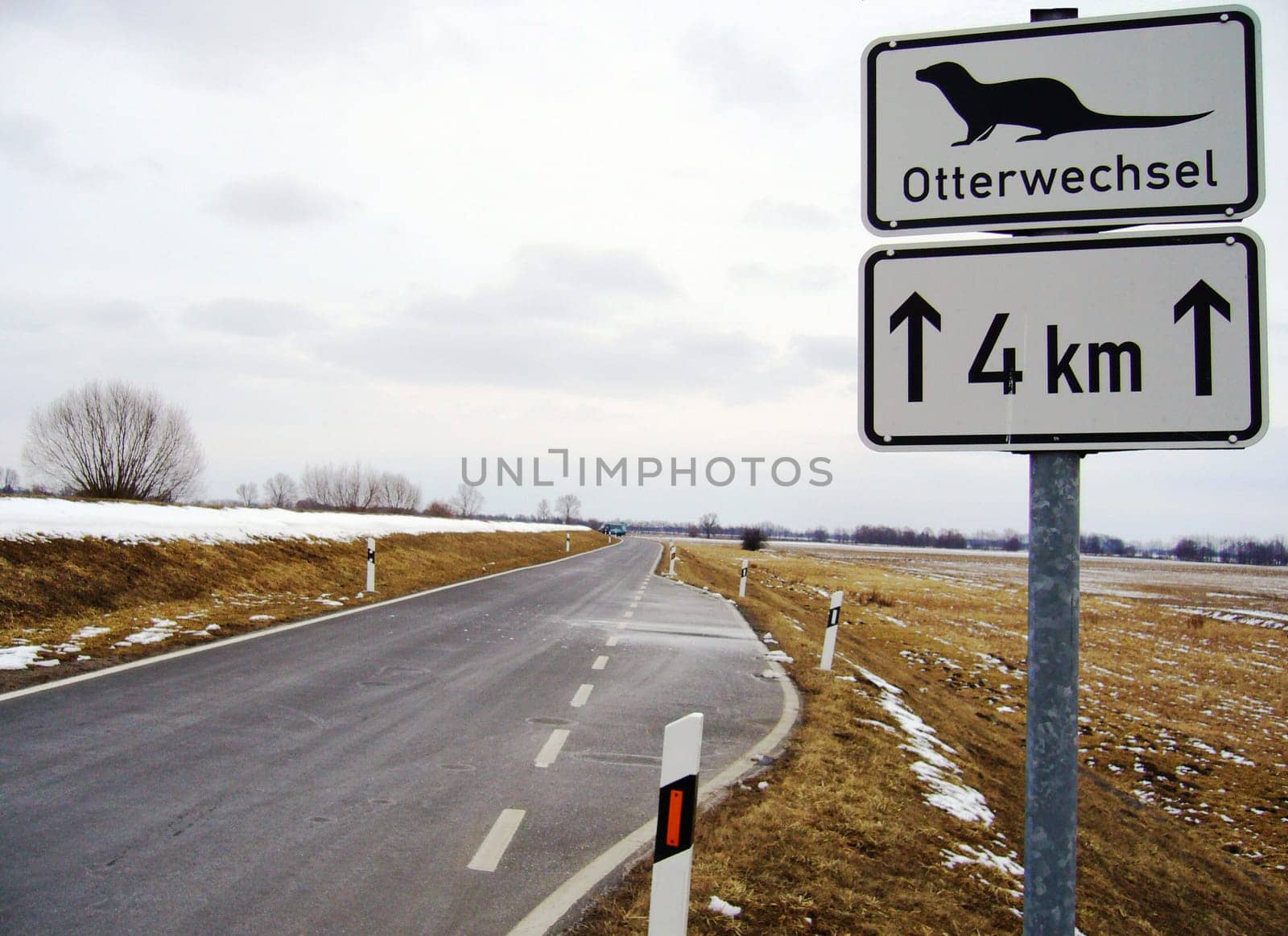 Beware of otters