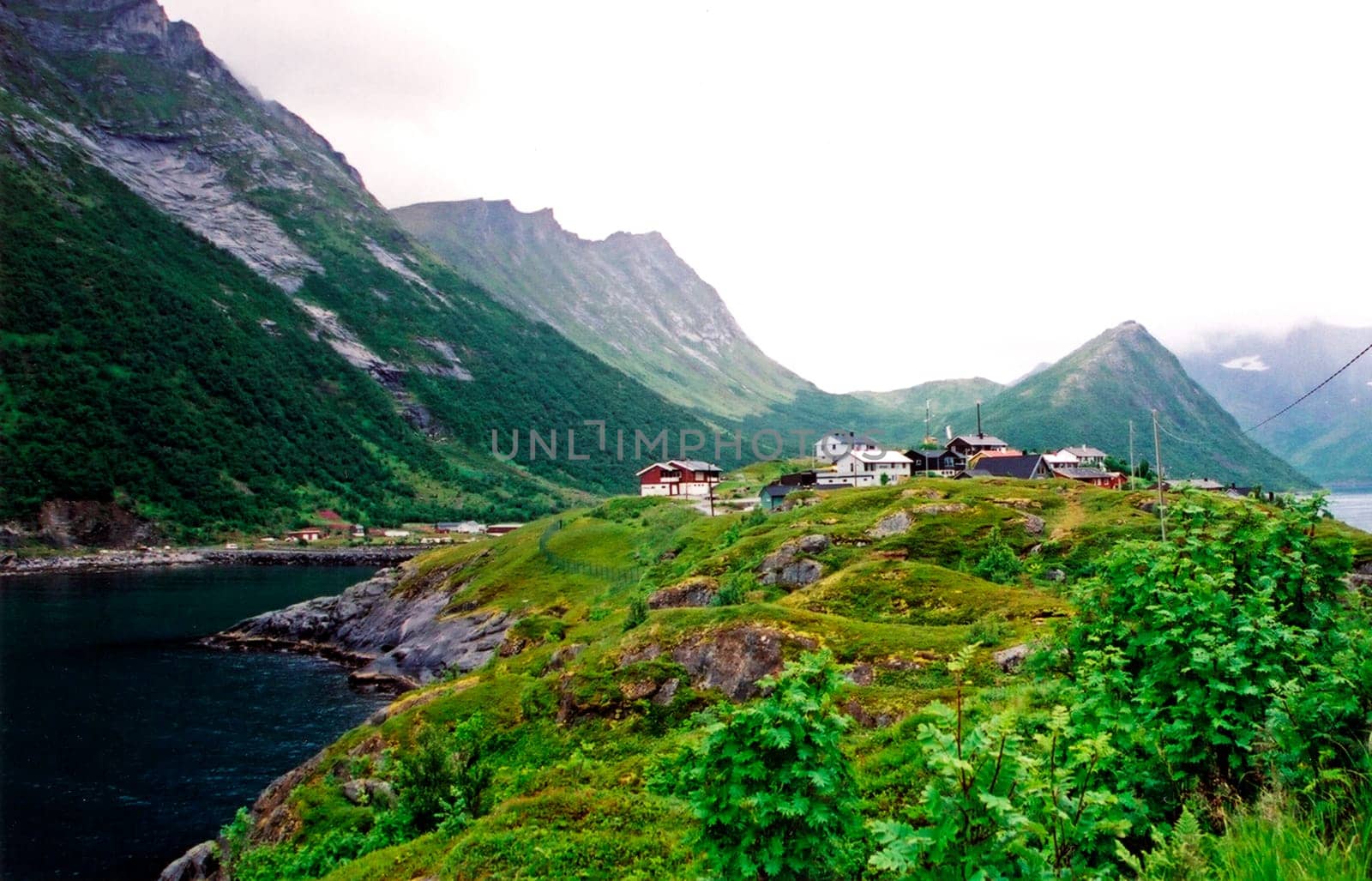 Senja