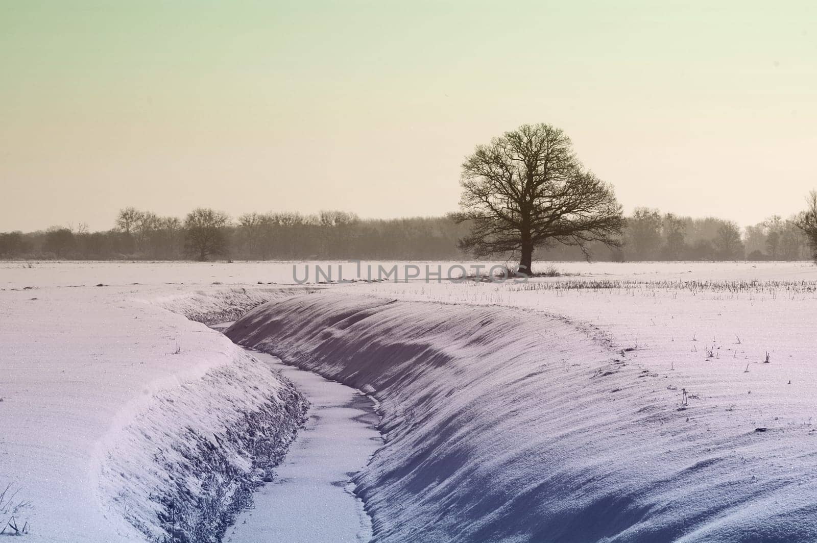 So,now I hope this was really the last walk in the snow today. It has thawed mightily and you can slowly see where the roads and paths actually are.