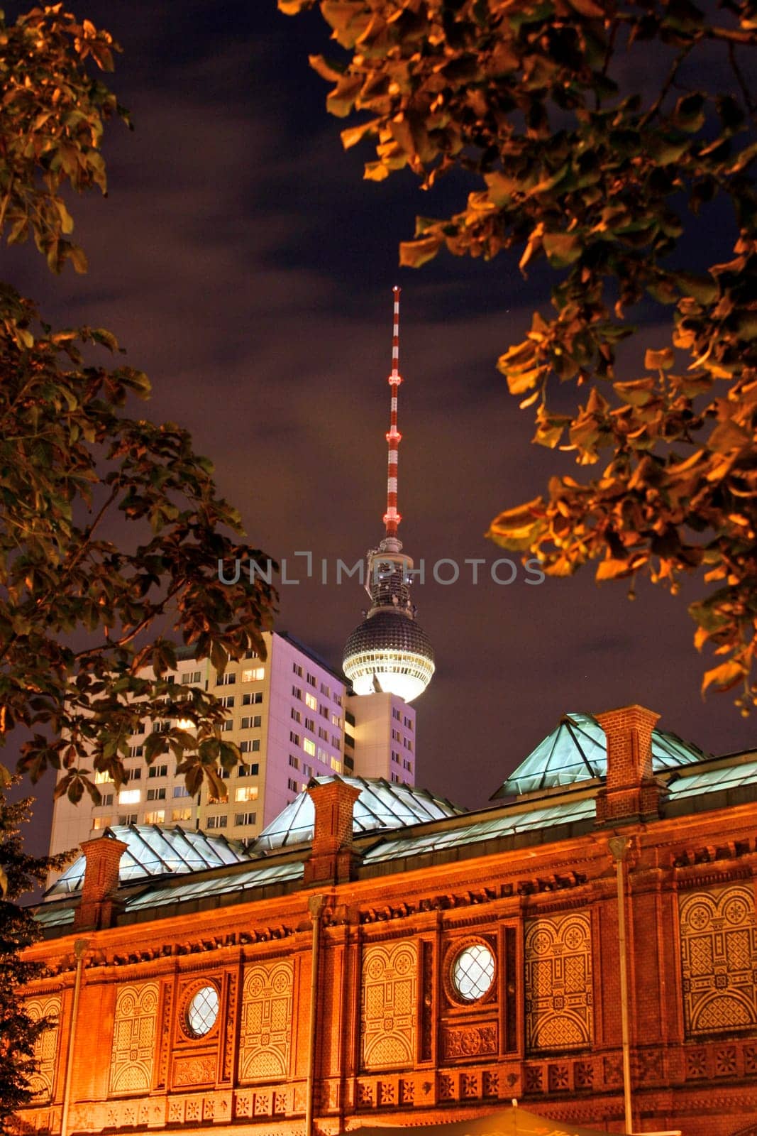 Berlin Radio Tower through trees