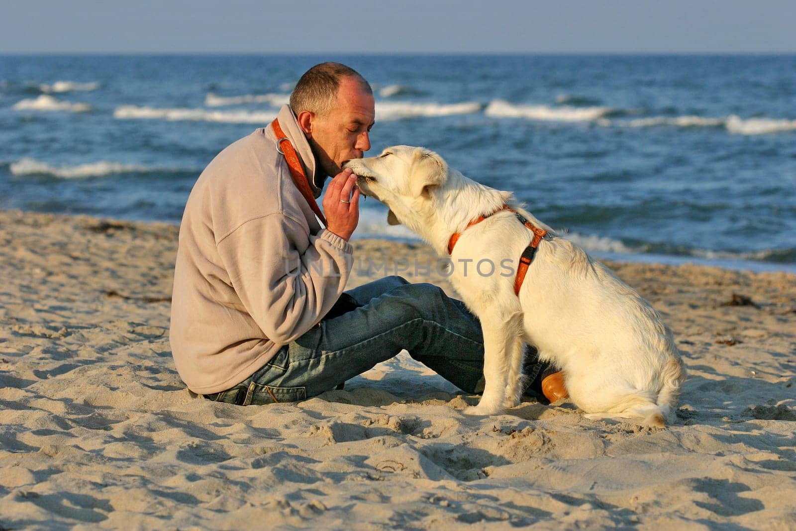 Friendship