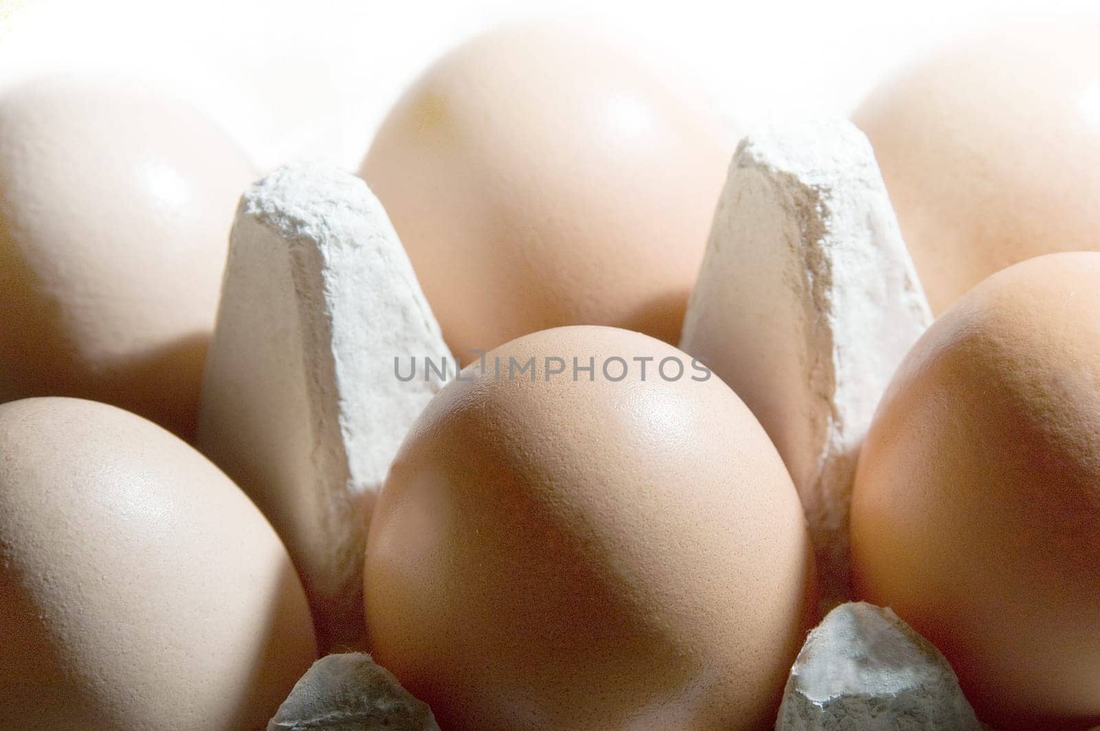 Chicken egg 06