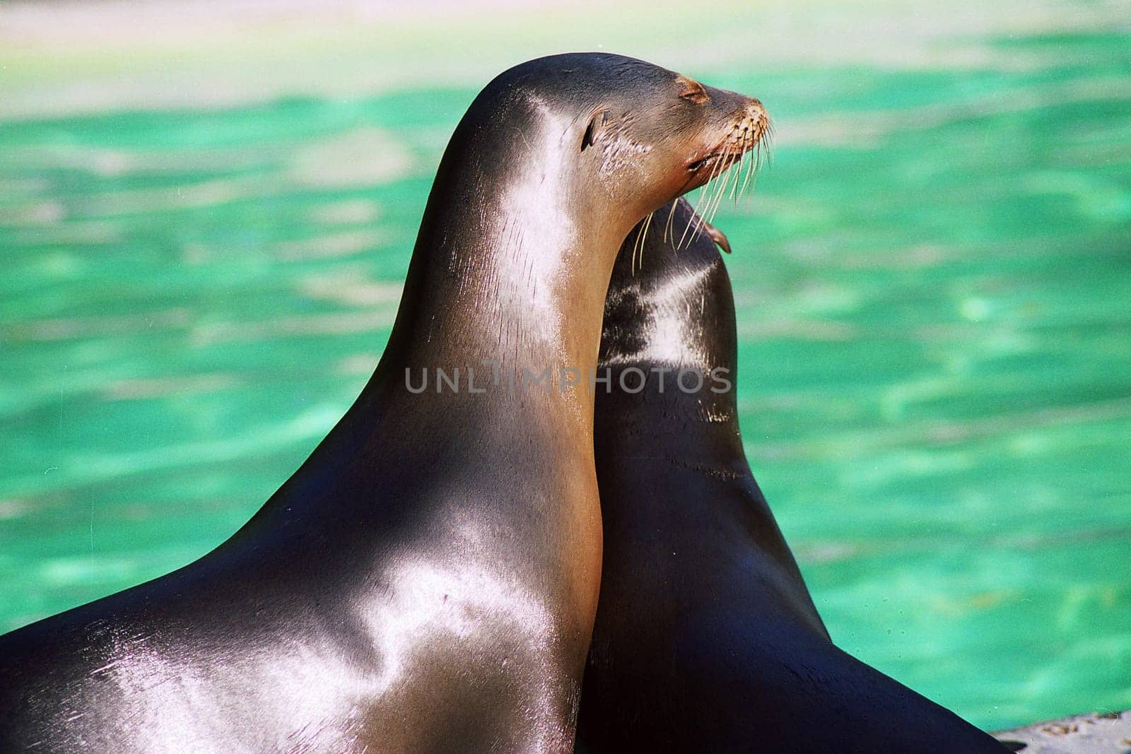 Seals