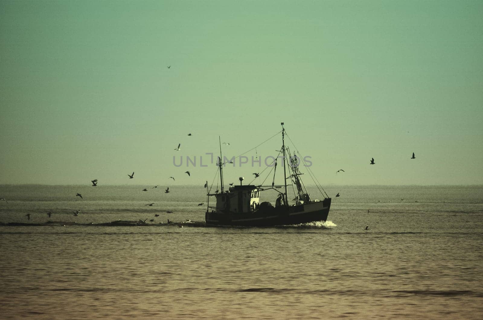 Return of the fishermen