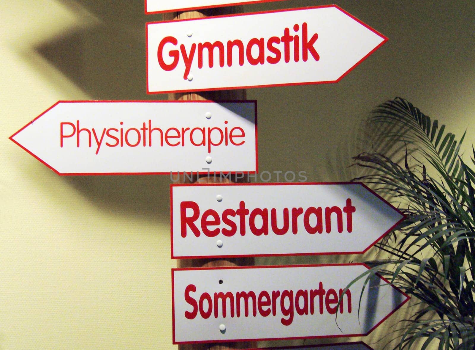 Fitness